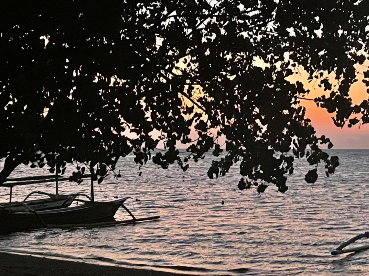 Shady Grove Healing Centre & Homestay W House Rules Please Read Before Booking Sanur Buitenkant foto