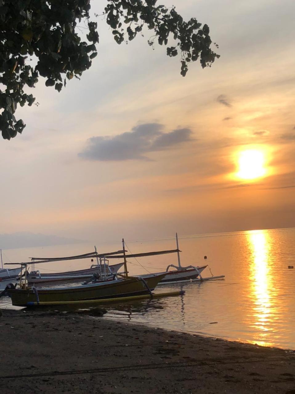 Shady Grove Healing Centre & Homestay W House Rules Please Read Before Booking Sanur Buitenkant foto