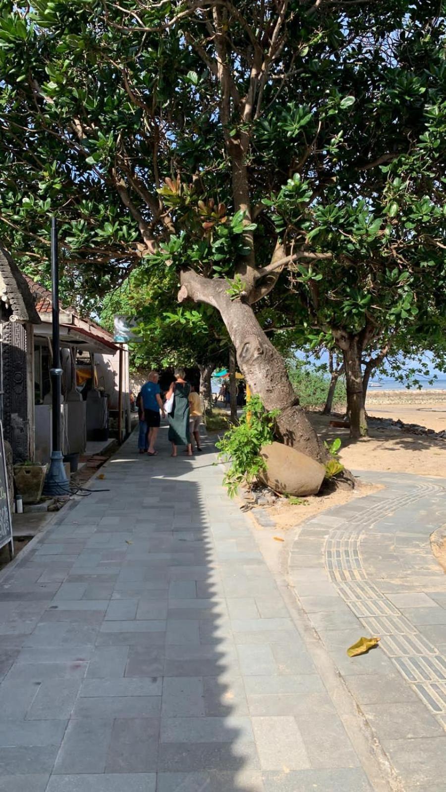 Shady Grove Healing Centre & Homestay W House Rules Please Read Before Booking Sanur Buitenkant foto