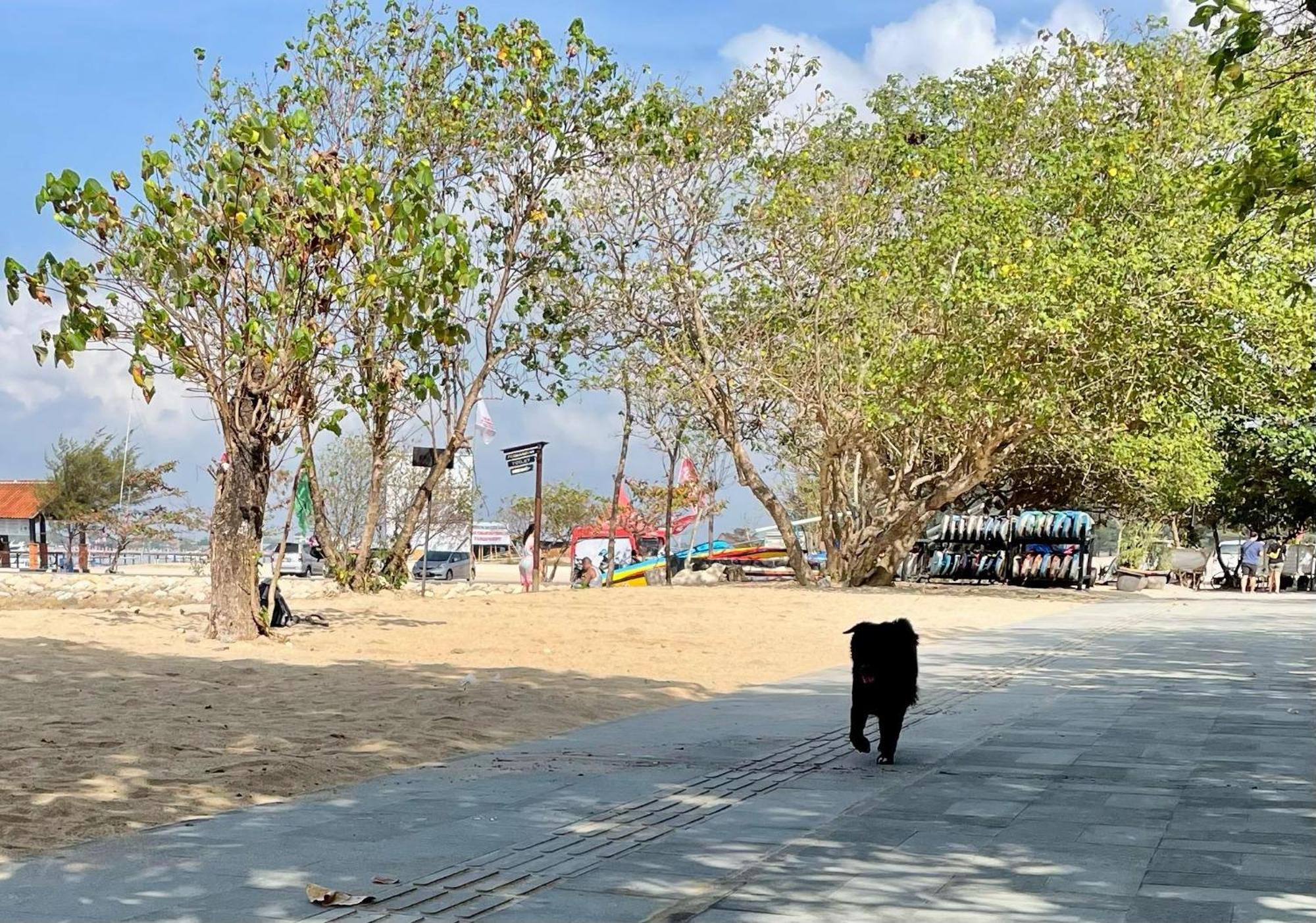 Shady Grove Healing Centre & Homestay W House Rules Please Read Before Booking Sanur Buitenkant foto