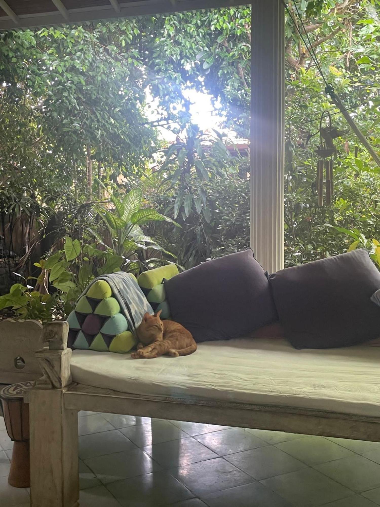 Shady Grove Healing Centre & Homestay W House Rules Please Read Before Booking Sanur Buitenkant foto