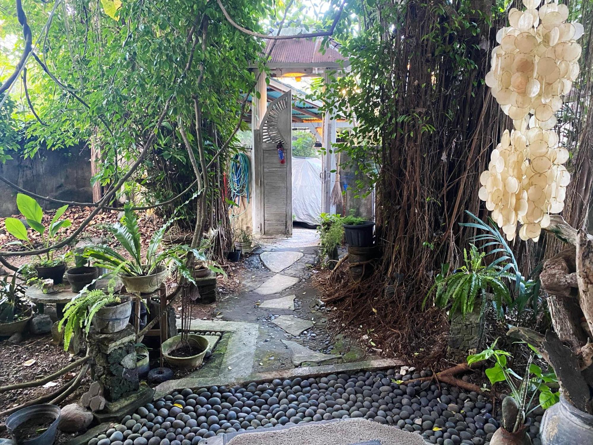 Shady Grove Healing Centre & Homestay W House Rules Please Read Before Booking Sanur Buitenkant foto