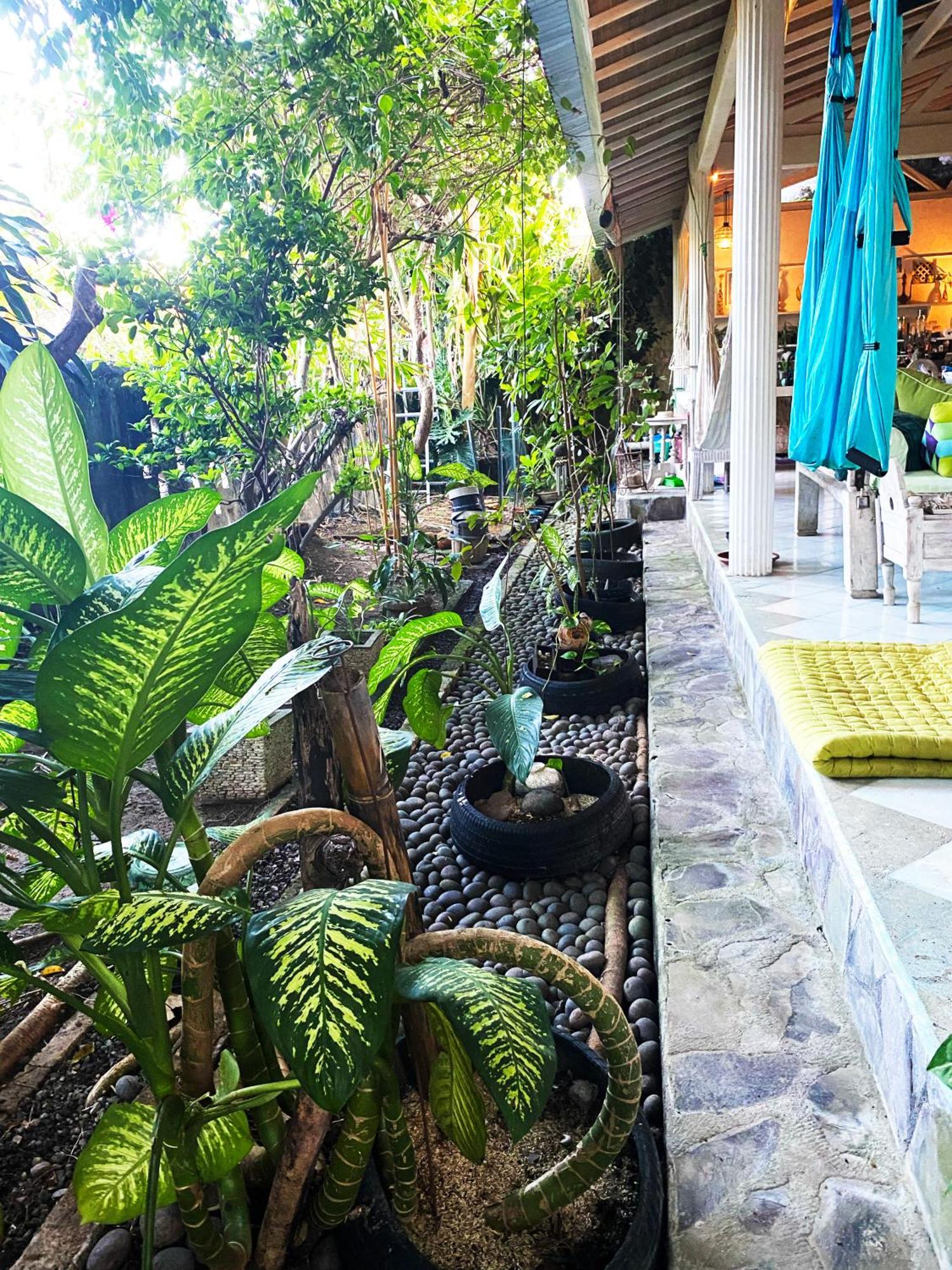 Shady Grove Healing Centre & Homestay W House Rules Please Read Before Booking Sanur Buitenkant foto