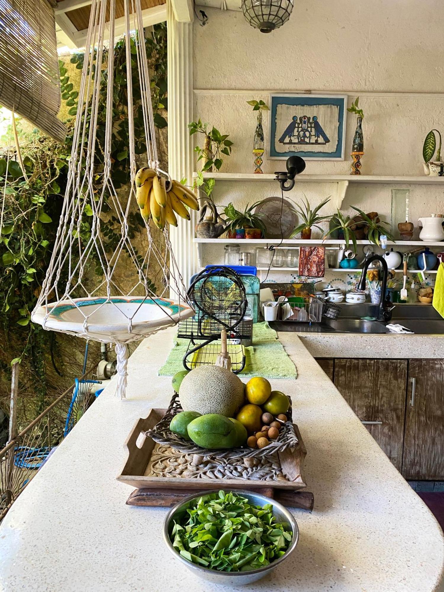 Shady Grove Healing Centre & Homestay W House Rules Please Read Before Booking Sanur Buitenkant foto