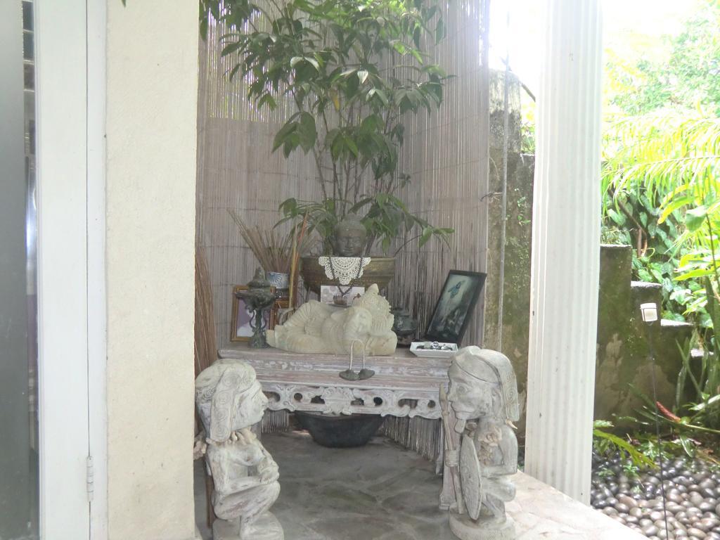 Shady Grove Healing Centre & Homestay W House Rules Please Read Before Booking Sanur Buitenkant foto